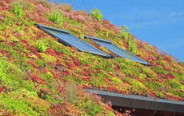 Burghclere living roof systems